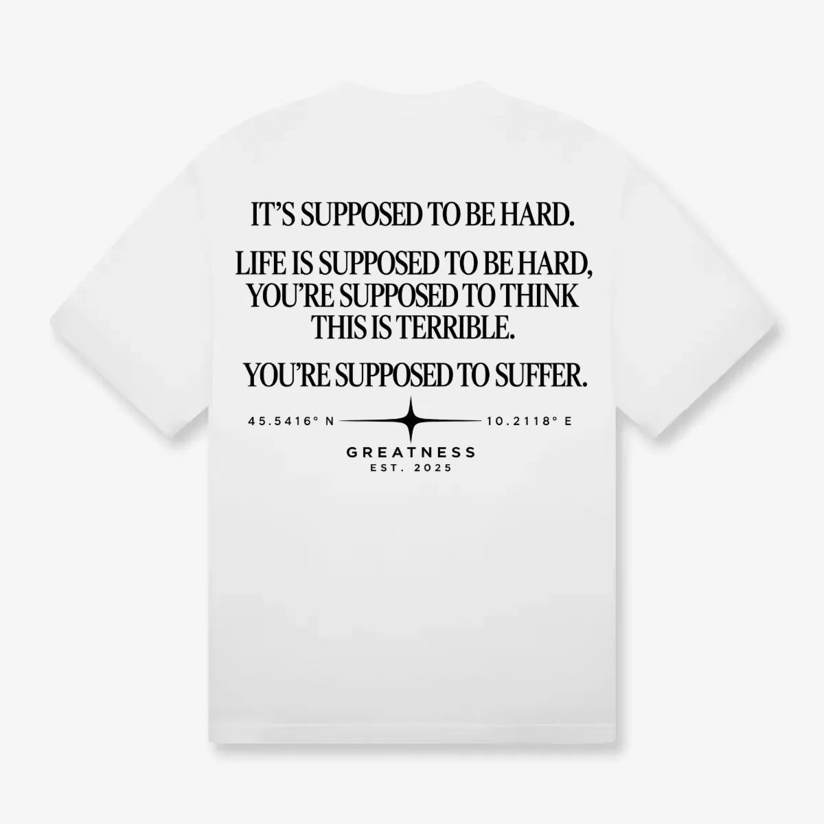 Maglietta oversize heavyweight 300 GSM Regardless GREATNESS in bianco, retro