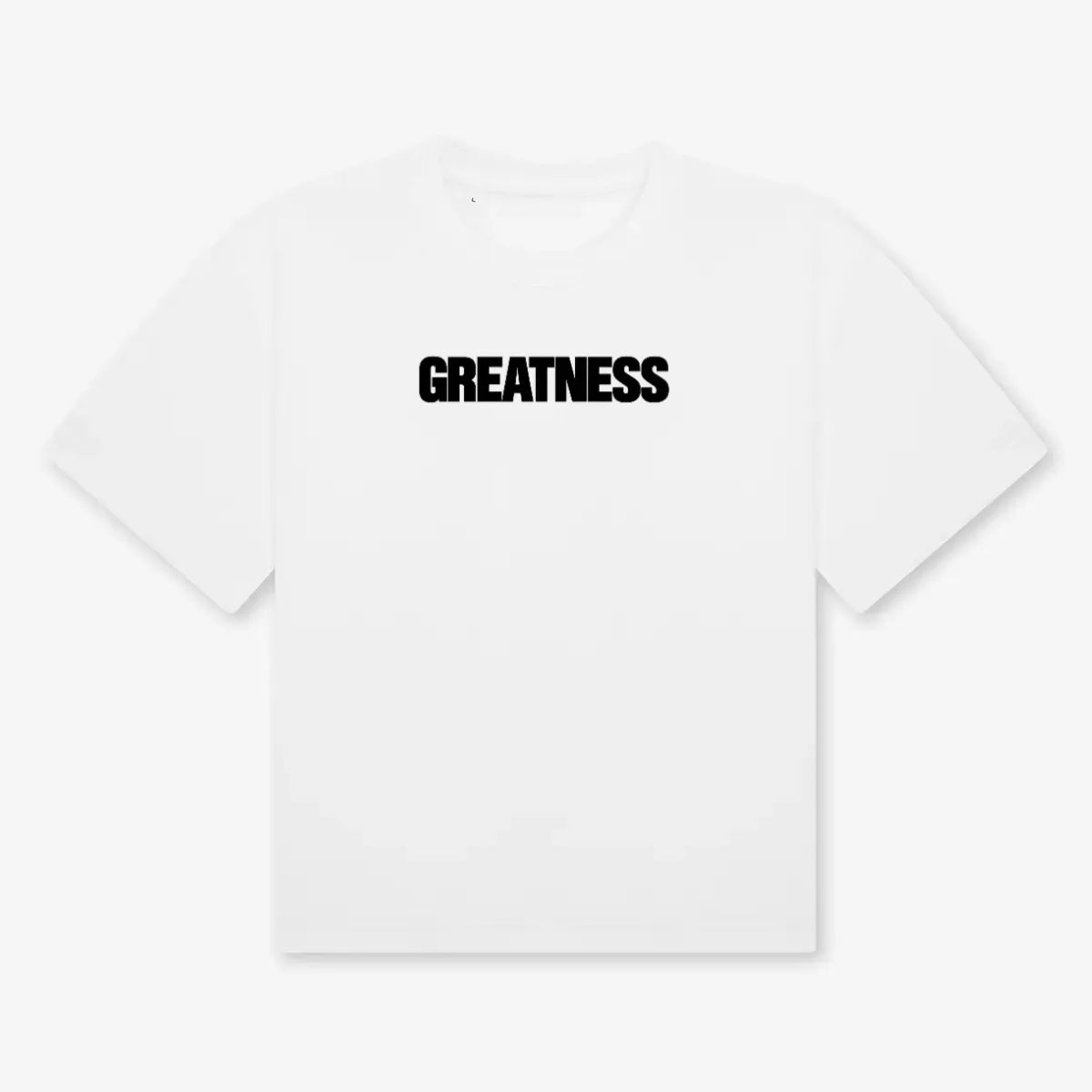 Maglietta boxy heavyweight Promise GREATNESS in bianco, fronte