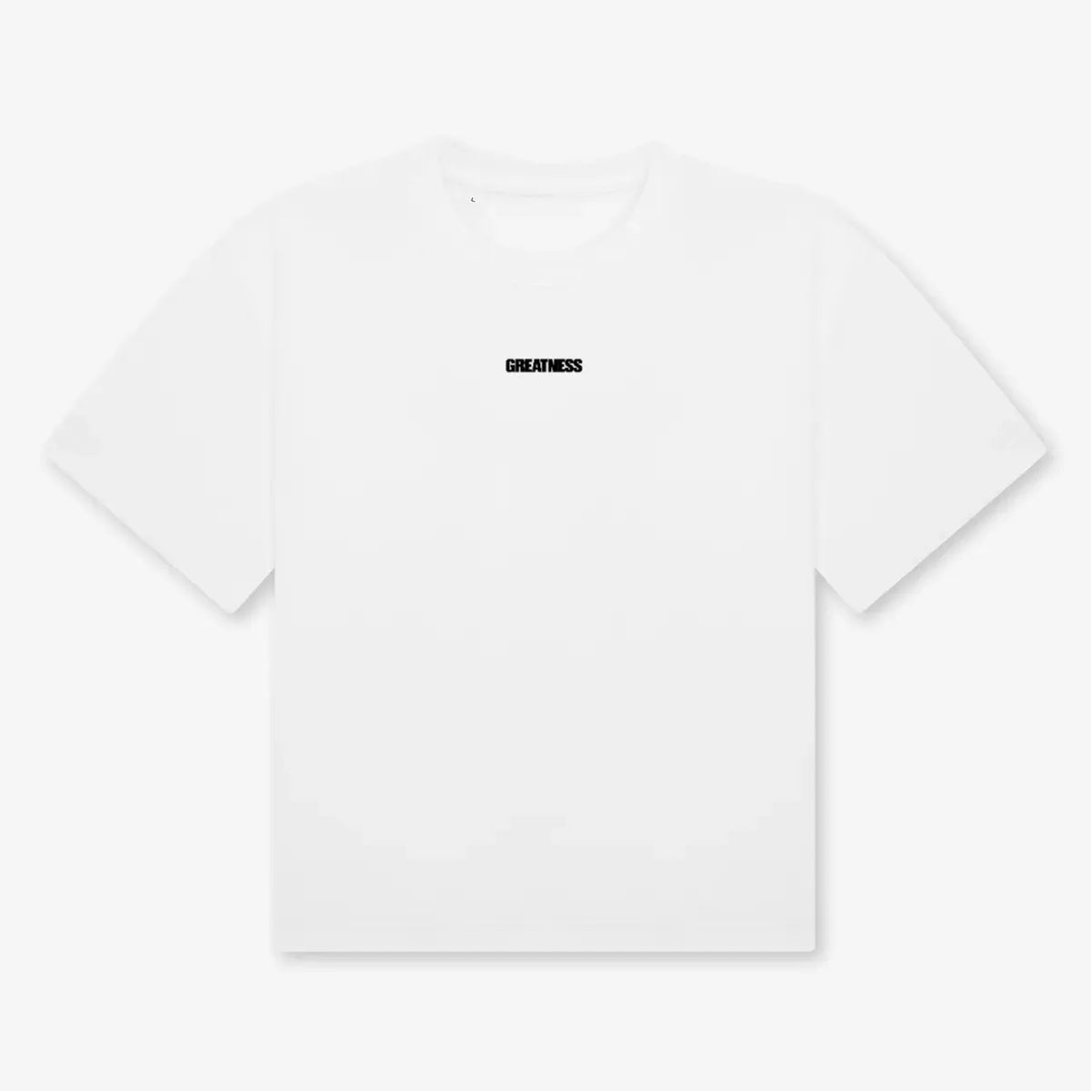 Maglietta boxy heavyweight Never Give Up GREATNESS in bianco, fronte #collection-back